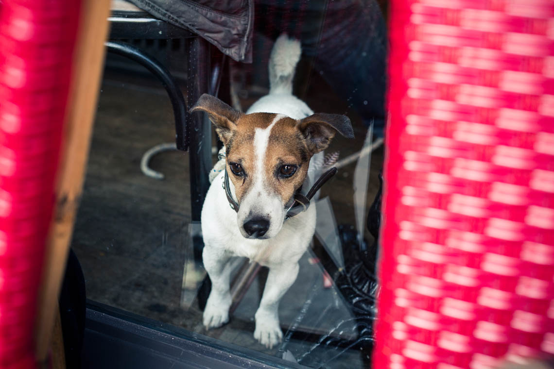 San Francisco Lifestyle Photographer Marc Olivier Le Blanc 059